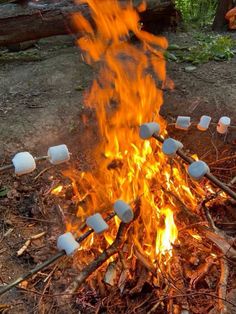 marshmallows roasting over an open fire in the woods