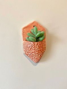 a small succulent plant in a terracotta pot on a white wall