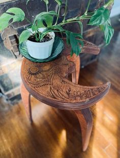 a potted plant sitting on top of a wooden table