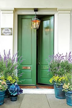 two green doors and three blue flower pots