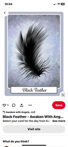 an image of a feather flying through the air with text below it that reads, black feather