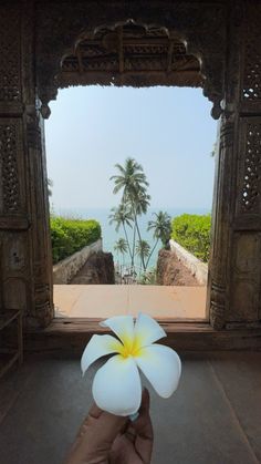 a hand holding a white flower in front of an open doorway with the ocean and palm trees