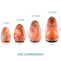 the size comparison of different types of himalayans and their corresponding features are shown in this diagram