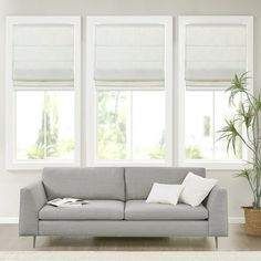 a living room with three windows and a couch in front of the window is a potted plant