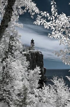 a black and white photo of a lighthouse in the woods