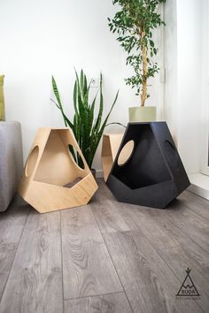 three different shaped objects sitting on the floor next to a potted plant