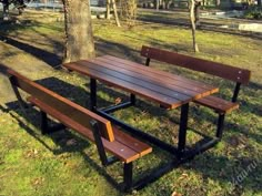 two wooden benches sitting next to each other near a tree