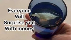 someone is holding up a cup with a dolphin inside it and the caption says everyone will surprise you with money