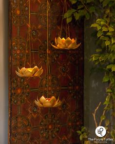 three hanging water lilies in front of a wall