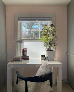 a white dog sitting in front of a desk with a potted plant on it