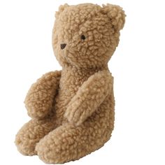 a brown teddy bear sitting up against a white background