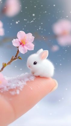 Live Fish Wallpaper, Rabbit Pictures, Cute Small Animals, Cute Animal Illustration, Pretty Phone Wallpaper, Cute Cartoon Characters, Cute Cartoon Drawings, Girly Pictures