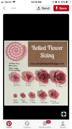 some pink paper flowers are on display in front of a sign that says rolled flower sizing