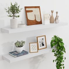 two white shelves with plants and pictures on them