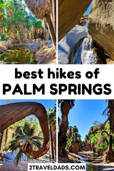 the best hikes in palm springs, florida with text overlaying it that reads best hikes of palm springs