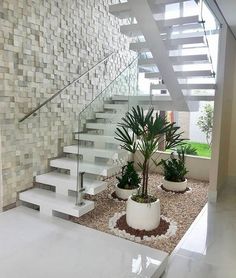 there is a plant on the ground in front of some stairs with plants and rocks