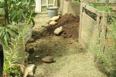 a garden area with dirt and plants in it