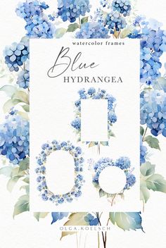 watercolor frames with blue hydrangea flowers