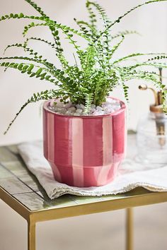 a pink potted plant sitting on top of a table next to a glass vase