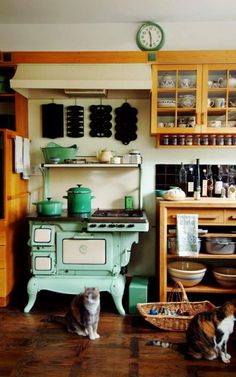 two cats sitting on the floor in front of an old - fashioned stove and oven