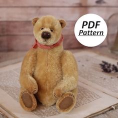 a brown teddy bear sitting on top of an open book