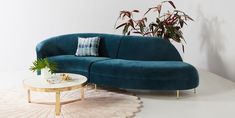 a living room with a blue couch and coffee table in front of a potted plant