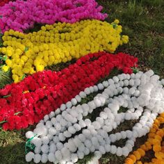 many different colored flowers laying on the ground