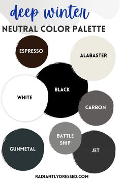 the color scheme for deep winter neutral color palette