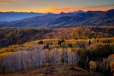 the mountains are covered in autumn foliage and trees with orange, yellow, and green leaves