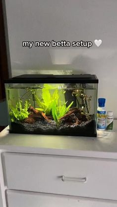 there is a fish tank with plants in it on top of a white dresser next to a bottle of deodorant