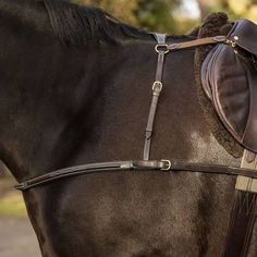 a close up of the bridle on a horse