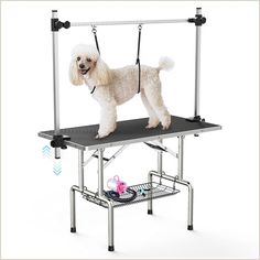 46 INCH DOG GROOMING TABLE Help Pet Groomers to Save More! Whether you are a professional groomer or an occasional one, grooming your dog right at your home, a dog grooming table is a must-have equipment. DIY your own grooming salon and save money in pockets just starting from the basic activities like hair cutting or nail trimming to serious grooming tasks. Your task becomes much easier, convenient and obviously, faster. Additionally, your dog remains steady and safe so you don't have to w... Dog Grooming Table, Dog Bath Tub, Pet Station, Nail Trimming, Pet Vacuum, Dog Grooming Supplies, Grooming Salon