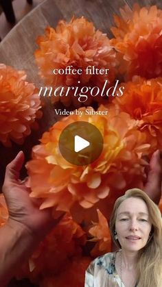 coffee filter margolds video by sherer