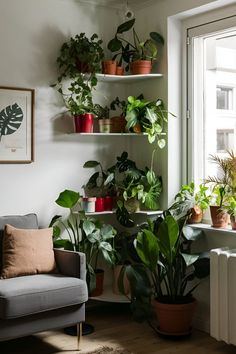 a living room filled with lots of potted plants next to a wall mounted shelf