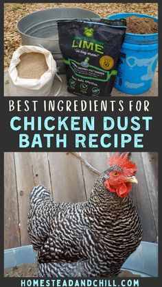 the best ingredients for chicken dust bath recipe