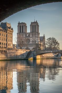 the cathedral is reflected in the still water of the river under an arched stone bridge