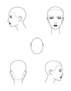 beauty school head sheet Hair Chart, Hair Academy, Balayage Technique, Face Charts, Female Head