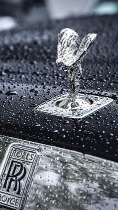 a close up of the hood ornament on a black car with water droplets