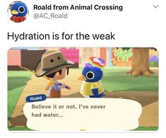 an animal crossing game with the caption that reads, road from animal crossing hydration is for the weak believe it or not, i've never had water