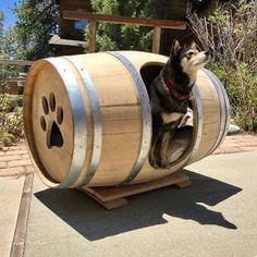 a dog sitting on top of a wooden barrel