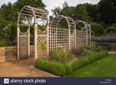 a garden with many different types of flowers and plants growing in the middle of it