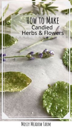 how to make candied herbs and flowers with mossy meadow farm's logo