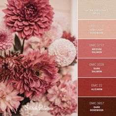 a bunch of flowers that are in some color swatches with the names on them