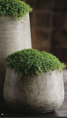 two cement vases with green plants in them