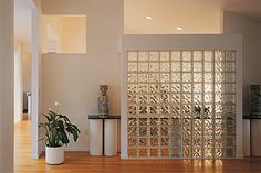 a living room filled with furniture and a large glass block wall next to a potted plant