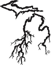 a black and white drawing of a tree branch