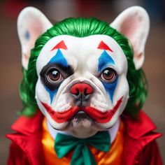 a dog dressed as a clown with green and red hair