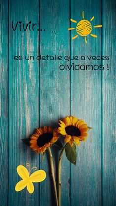 two yellow sunflowers sitting in front of a blue wooden wall with the words vivirr as un dentale que veces ovidacamos