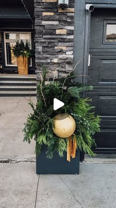 a potted plant sitting on top of a sidewalk next to a door and steps