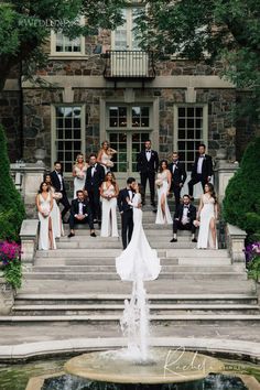 a bride and groom posing on the steps with their bridal party